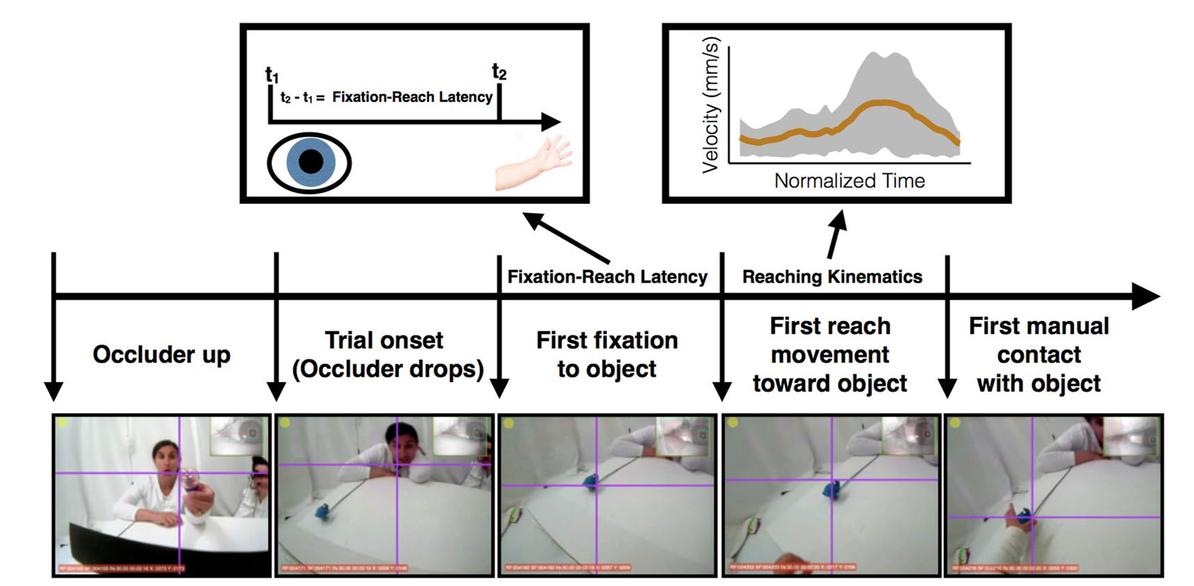 Research Highlight